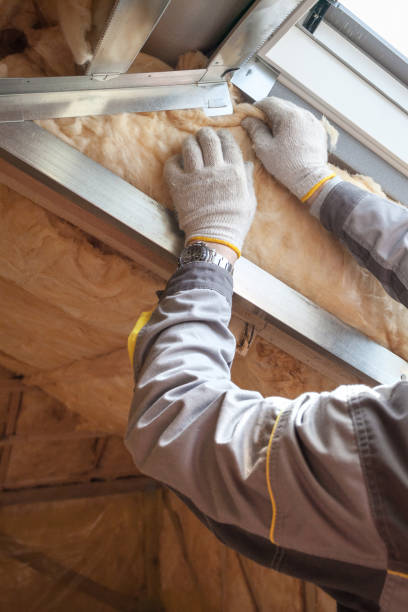 Best Spray Foam Insulation in Woodbridge, CA