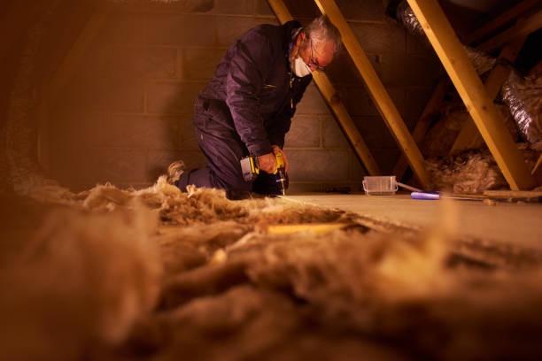 Best Insulation Maintenance and Repair in Woodbridge, CA